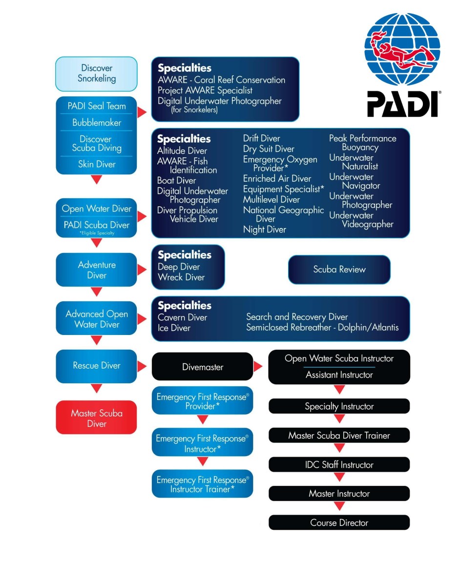 struktura potápěčského výcviku Padi.com