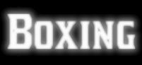 Boxeři SÚS boxing Krnov