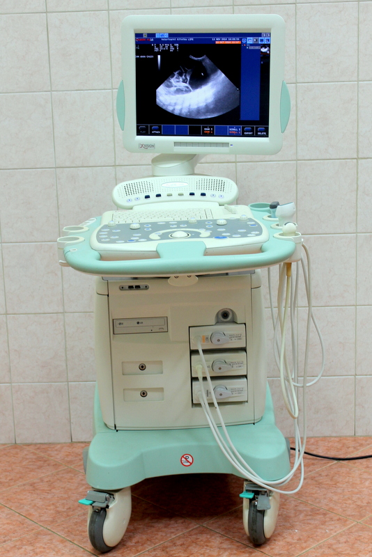 Ultrazvuk Veterinární klinika Life