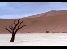 Poušť v Namibii