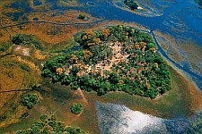 Delta řeky Okavango v Botswaně