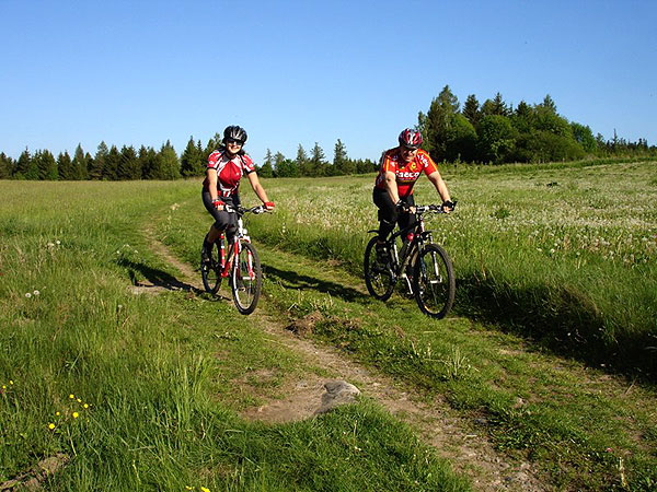 Cyklisté