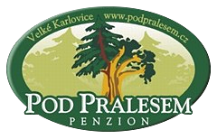 Pod pralesem penzion