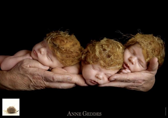 Puzzle Anne Geddes