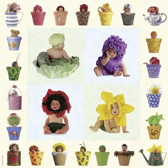 Puzzle Anne Geddes