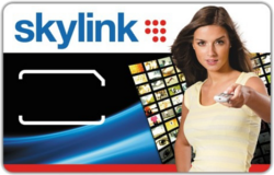 skylink karta