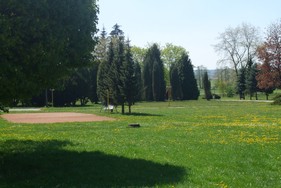 vlastní