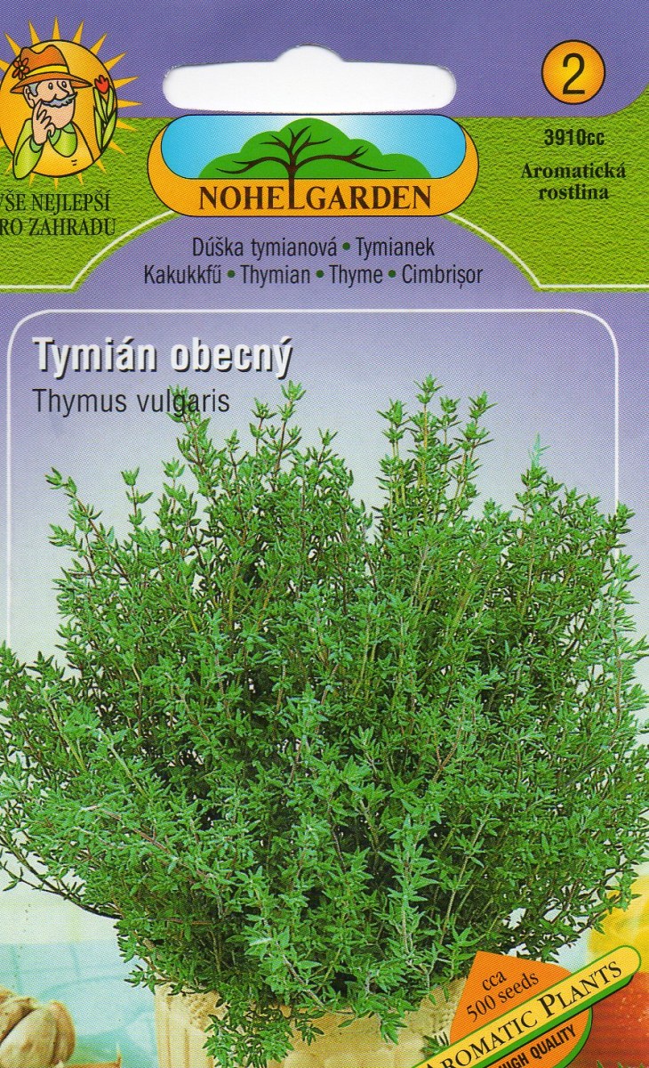 Tymián Obecný - Thymus vulgarit