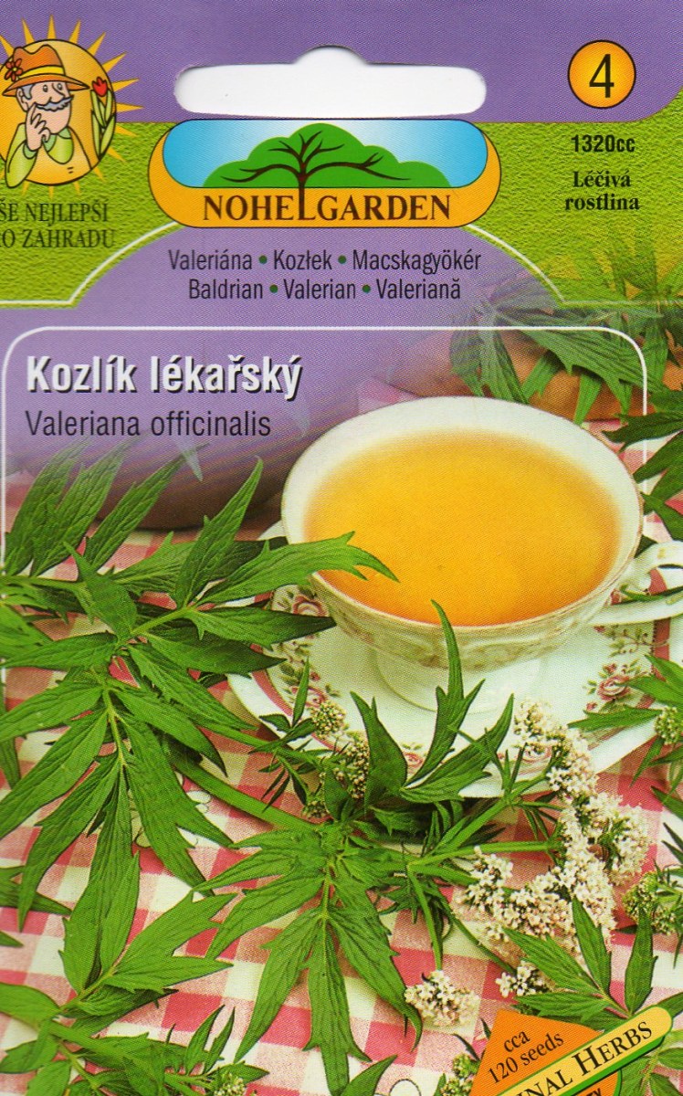 Kozlík Lékařský - Valeriana officinalis