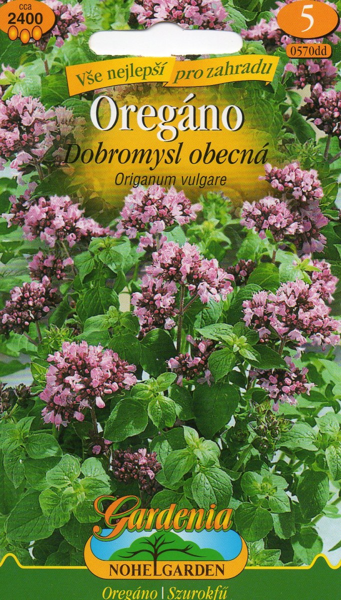 Dobromysl - Origanum vulgare