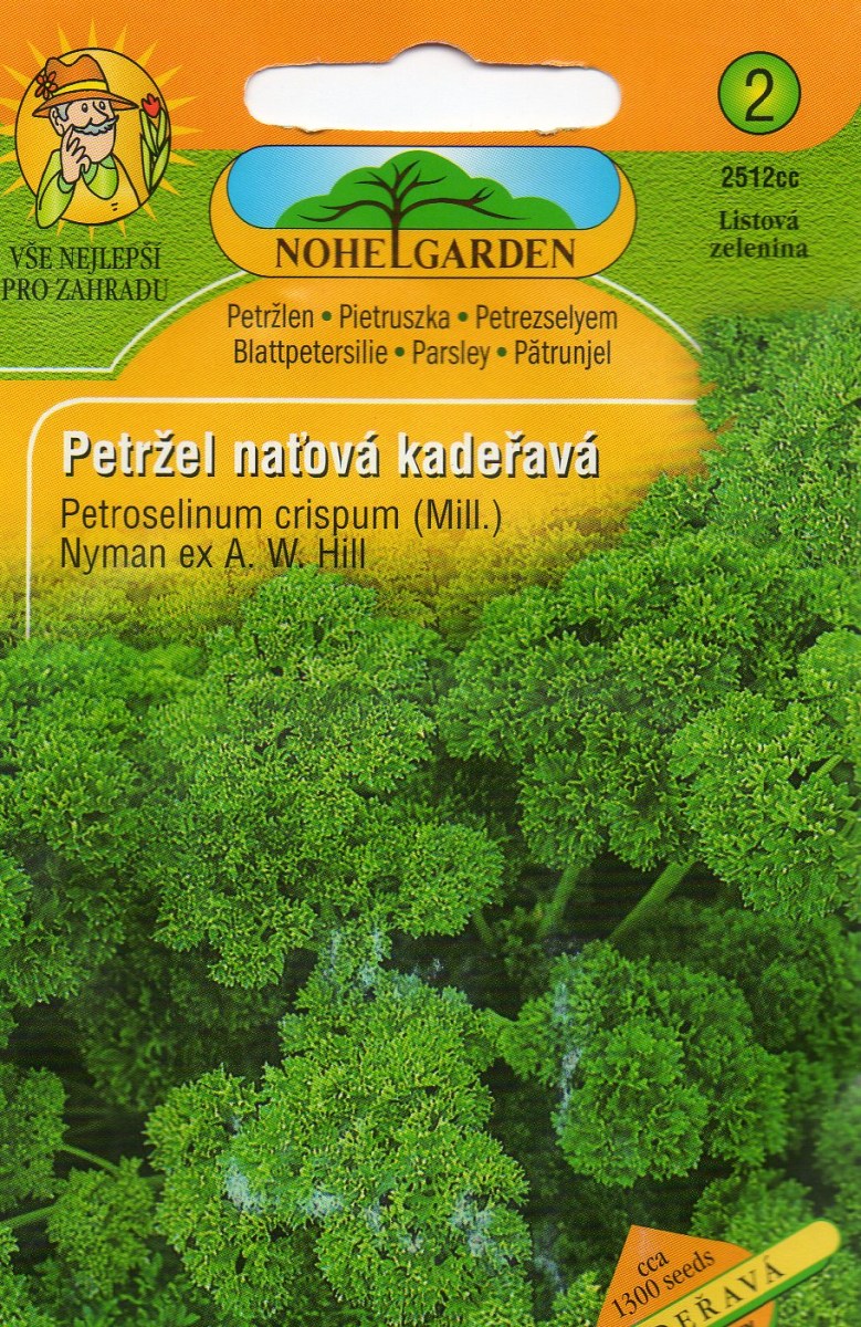 Petržel Kadeřavá - Petroselium crispum