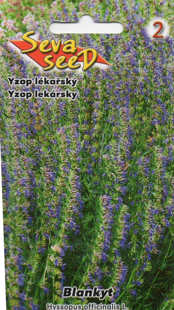 Yzop Lékařský - Hyssopus officinalis