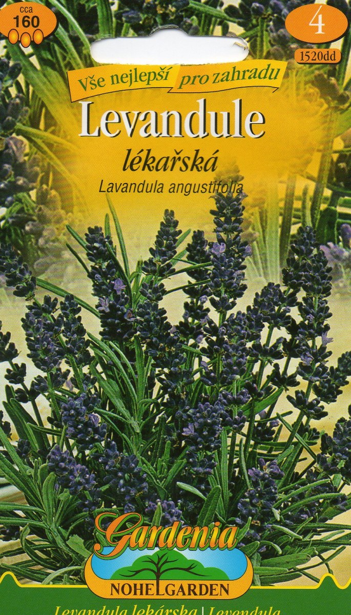 Levandule Lékařská - Lavandula angustigolia