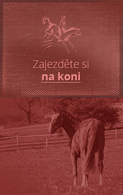 jízda na koni