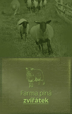 farma zvířátek