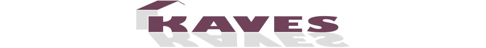 Primary Raster logo