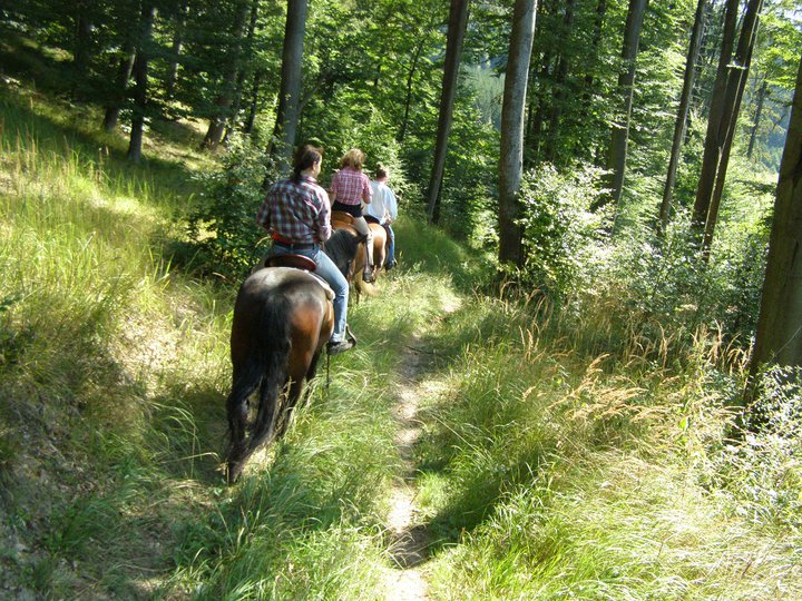 Výlety v sedlech | v přírodě na koni